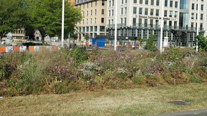 Massif Pont Morand… à Lyon. 